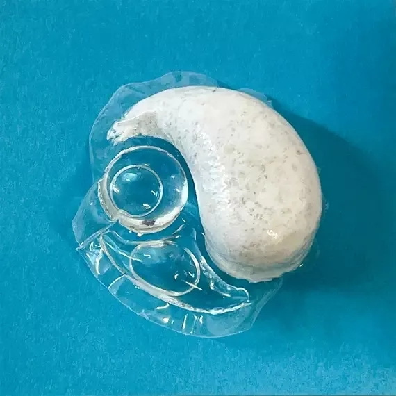 K&ouml;nnen Bleichkapseln in die Sp&uuml;lmaschine gegeben werden?
